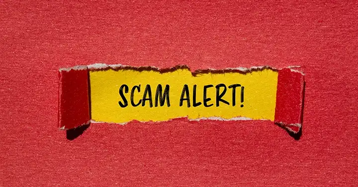 scam